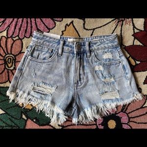 PacSun size 22 shorts NWT